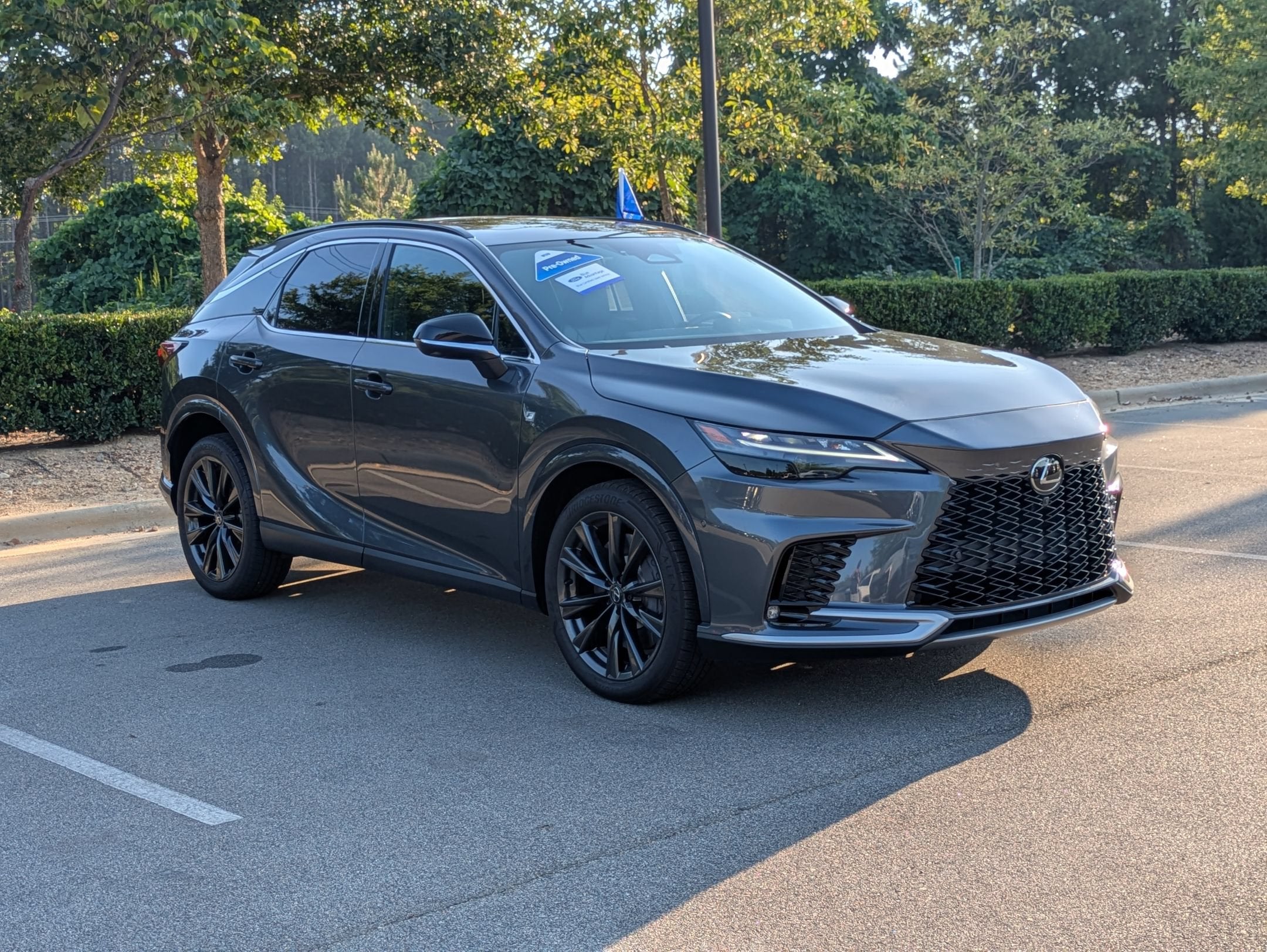 2024 Lexus RX
