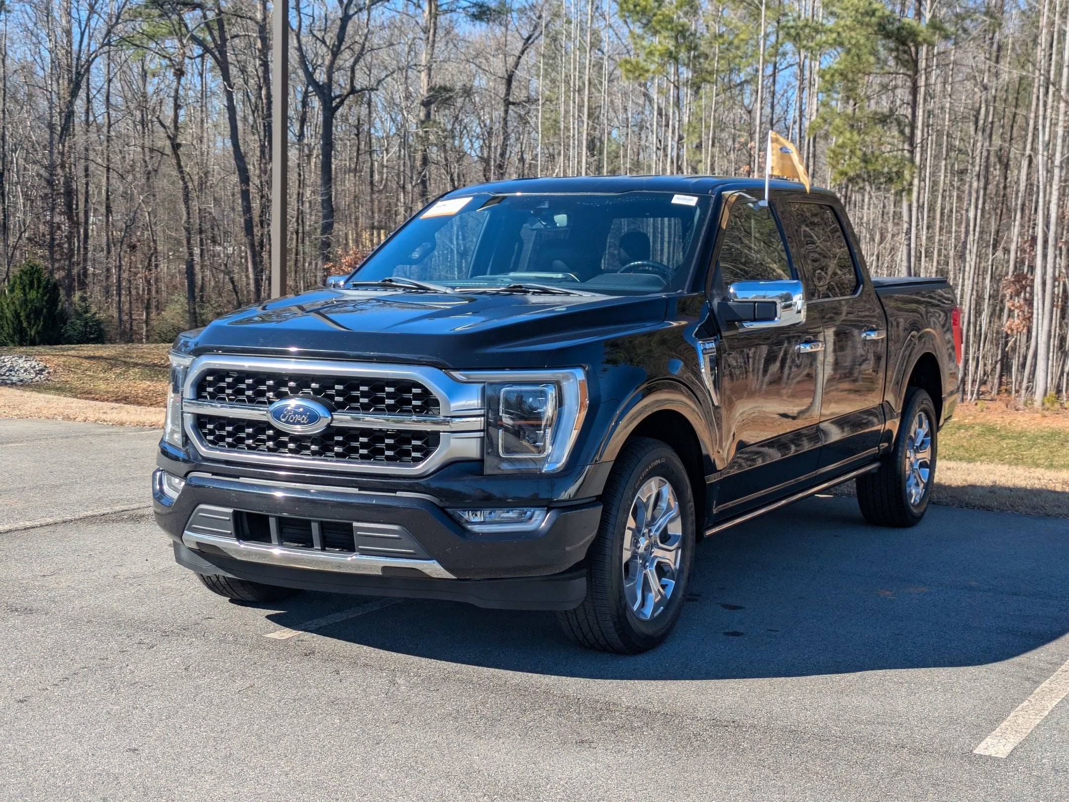 2021 Ford F-150 Platinum