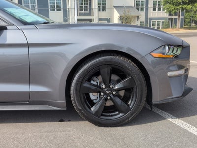 2023 Ford Mustang EcoBoost