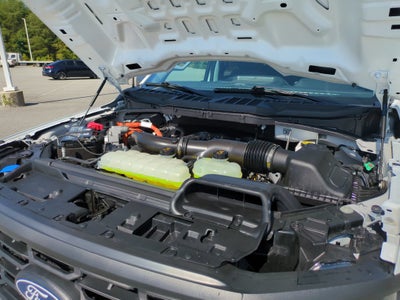 2025 Ford F-150 XL Hybrid