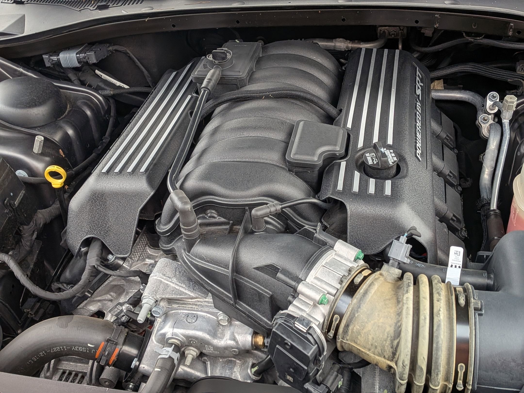 2023 Dodge Charger Scat Pack