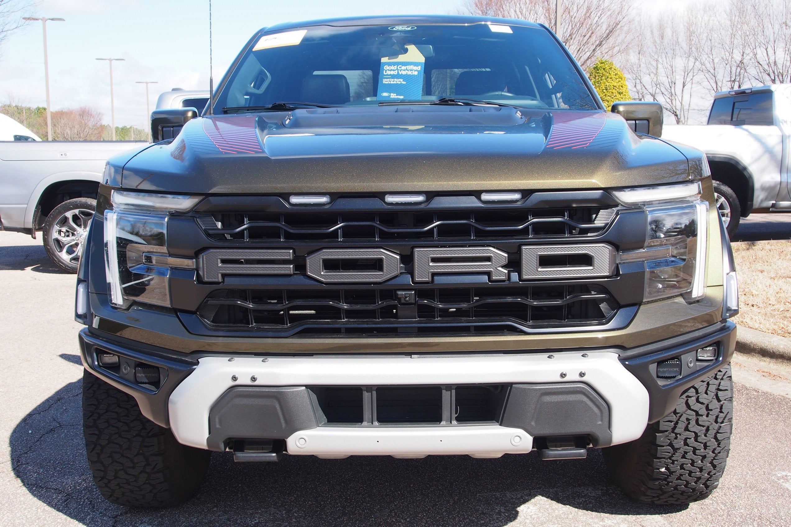 2025 Ford F-150 Raptor