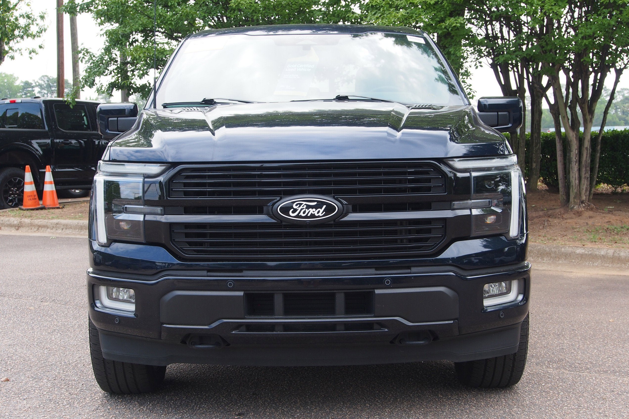 2025 Ford F-150 Platinum