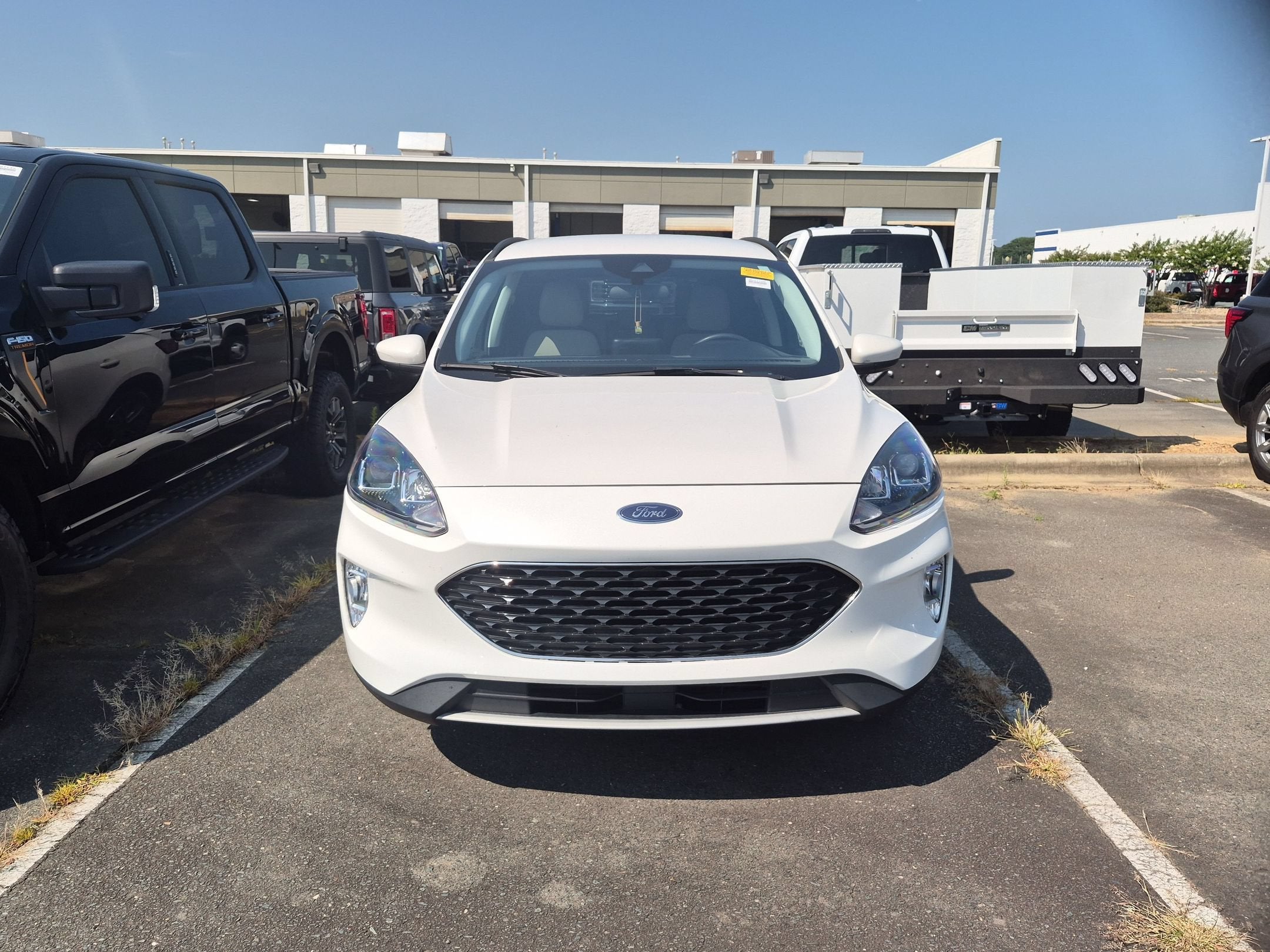 2021 Ford Escape SEL