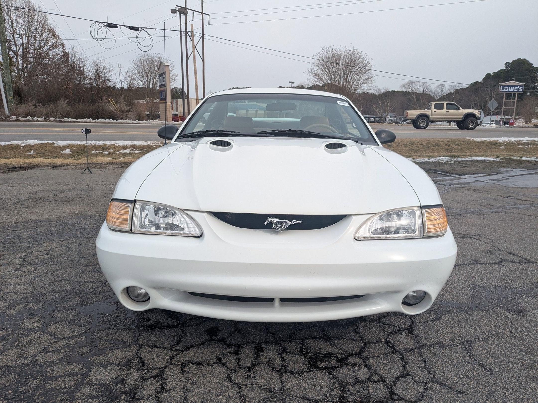 1998 Ford Mustang SVT Cobra