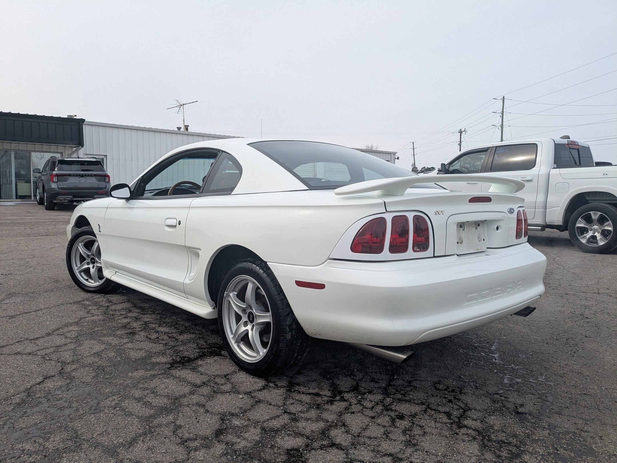 1998 Ford Mustang SVT Cobra