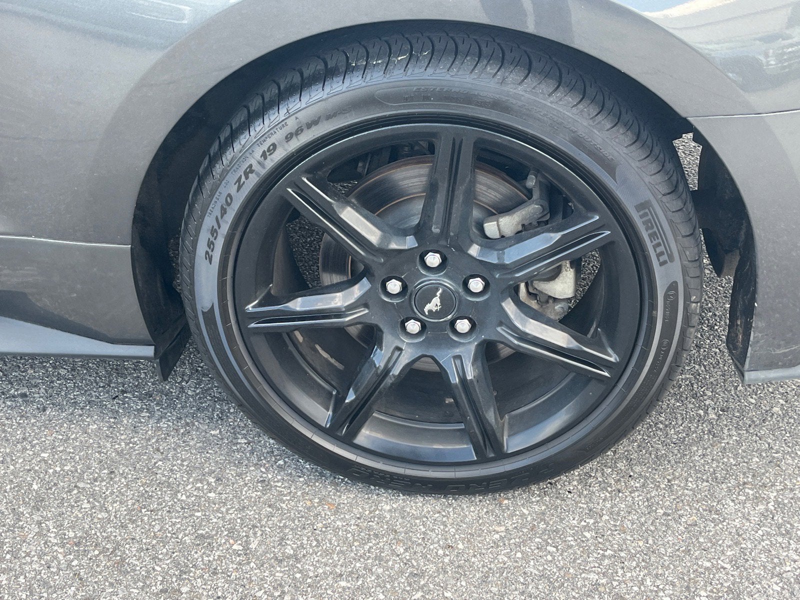 2019 Ford Mustang GT Premium