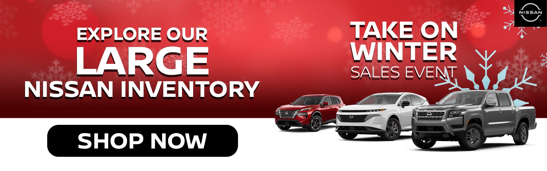 Take On Winter in Wake Forest, NC